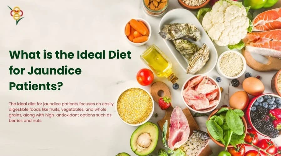 Which food is good for jaundice patient